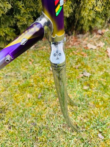 Used Colnago Più Frameset 1988 Road & Gravel, Purple — image 13 of 20