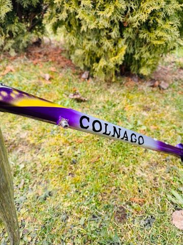 Used Colnago Più Frameset 1988 Road & Gravel, Purple — image 10 of 20
