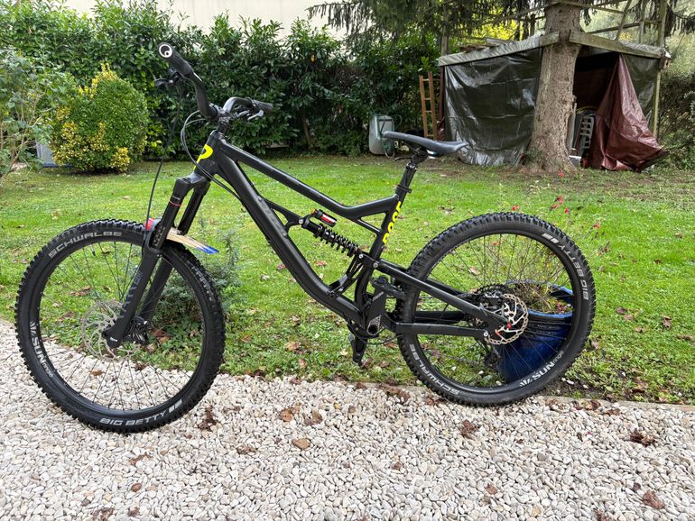 Rose SOUL FIRE 2022 2022