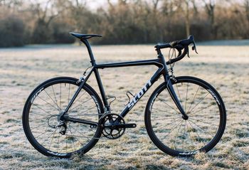 Used Scott Addict SL 56 cm 2009 Road & Gravel