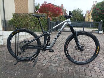 Used Canyon Strive CFR Underdog 2022 MTB