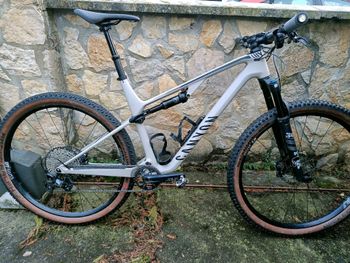 Canyon, Lux Trail CF 6 2022