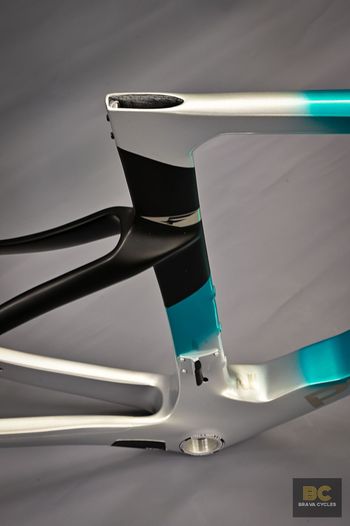 Gebrauchtes Pinarello Dogma F Frameset 2024 Road & Gravel, Grün — Bild 4 von 13