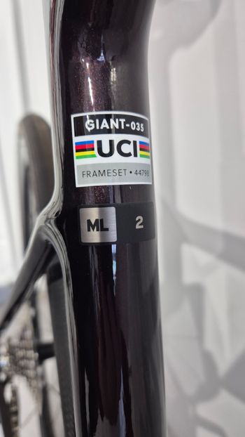 Used Giant Defy Advanced 2 2024 Road & Gravel, Red — image 2 of 5