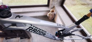 Used Radon SLIDE TRAIL 10.0 HD Frameset 2021 Mountainbike, Light Gray — image 11 of 24