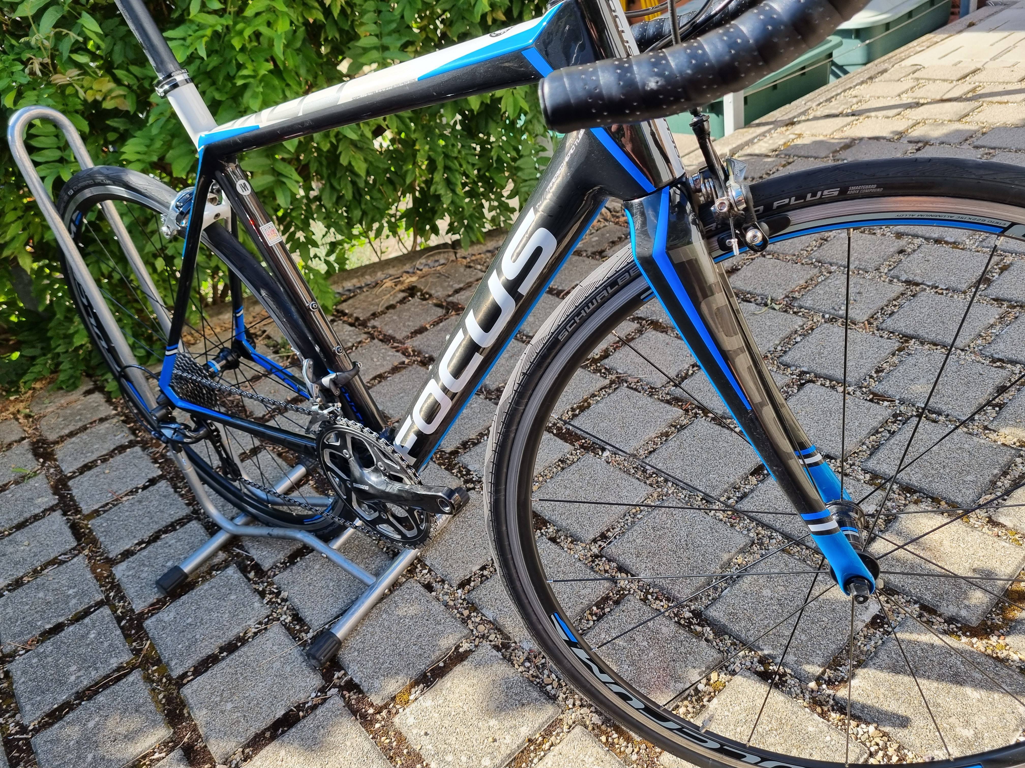 Focus cayo carbon clearance ultegra