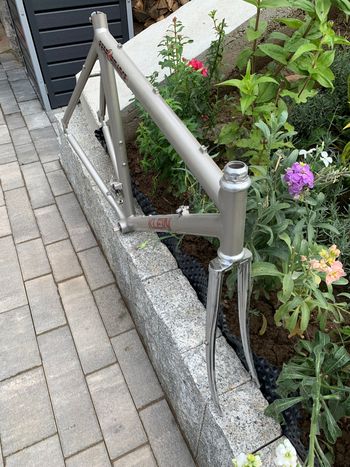 Used Klein Performance Frameset 1985 Road & Gravel, Light Gray — image 4 of 13