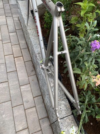 Used Klein Performance Frameset 1985 Road & Gravel, Light Gray — image 3 of 13