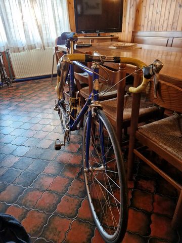 Used Pinarello Radius 1997 Road & Gravel, Blue — image 4 of 6