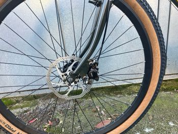 Used Cinelli rampichino country custom 1988 Road & Gravel, Green — image 13 of 20
