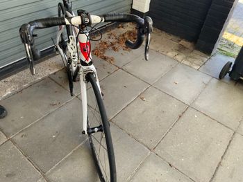 Used Opera Super Leonardo 2014 Road & Gravel, White — image 6 of 7