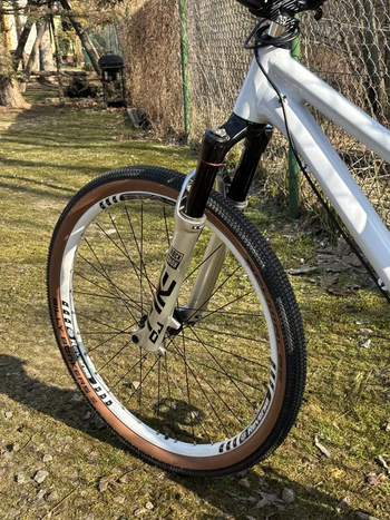 Used Canyon Stitched 720 2021 Mountainbike, White — image 8 of 9