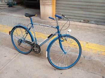 Used Carrera Sulcata Single Speed / Fixed Gear 1975 Mountainbike, Azul — image 10 of 12