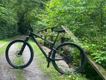 Used SCRANE Ht 2024 Mountainbike, Schwarz, 29 — image 3 of 3