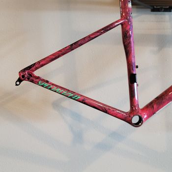 Used Specialized Tarmac SL8 Frameset 2024 2024 Road & Gravel, Morado — image 2 of 4