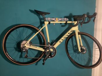 Used Canyon Endurace CF SL 8 Disc 2022 Road & Gravel, Orange — image 1 of 8