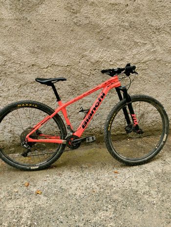 Shop bianchi methanol 29 fs frame 2018 Shop Black Friday