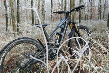 Used Canyon torque on CF9 2023 Mountainbike, Schwarz — image 10 of 22