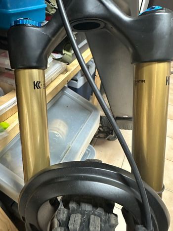 Used Canyon torque on CF9 2023 Mountainbike, Schwarz — image 17 of 22