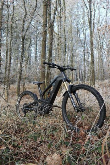 Used Canyon torque on CF9 2023 Mountainbike, Schwarz — image 1 of 22