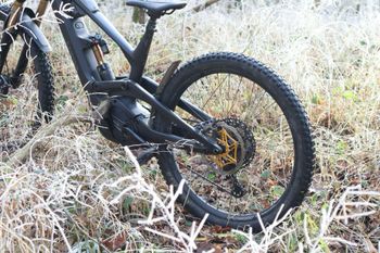 Used Canyon torque on CF9 2023 Mountainbike, Schwarz — image 2 of 22