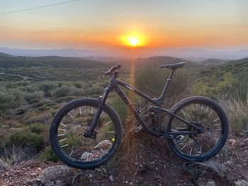 Trek, Fuel EX 8 29 2019