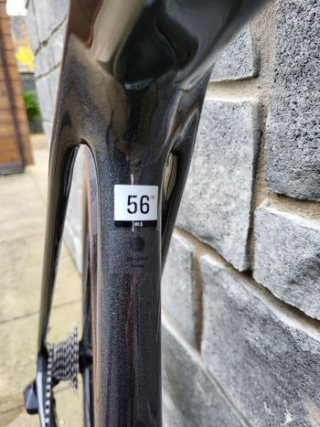 Used Trek Émonda SLR 7 2023 Road & Gravel — image 6 of 15