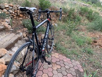 Used Colnago AC-R 105 Disc Bike 2016 Road & Gravel, Black — image 2 of 3