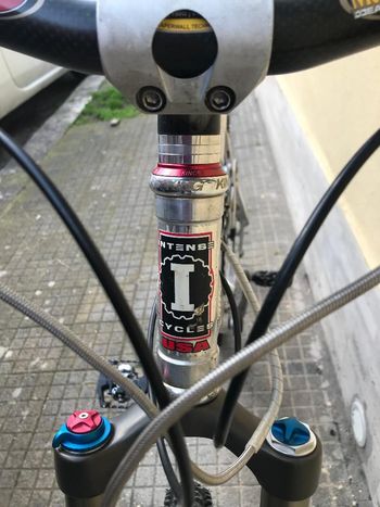 Used Intense uzzi 1998 Mountainbike, Light Gray — image 5 of 5