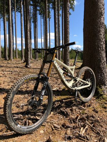 Used Pivot Pivot Phönix Carbon 2018 Mountainbike, Light Gray — image 2 of 5