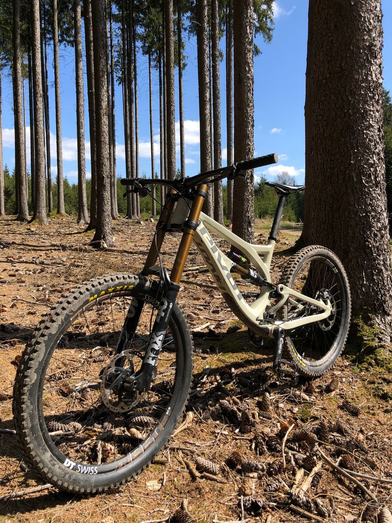 Used Pivot Pivot Phönix Carbon 2018 Mountainbike, Light Gray — image 2 of 5