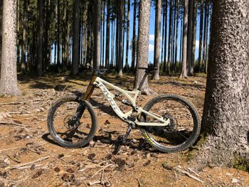 Used Pivot Pivot Phönix Carbon 2018 Mountainbike, Light Gray — image 3 of 5