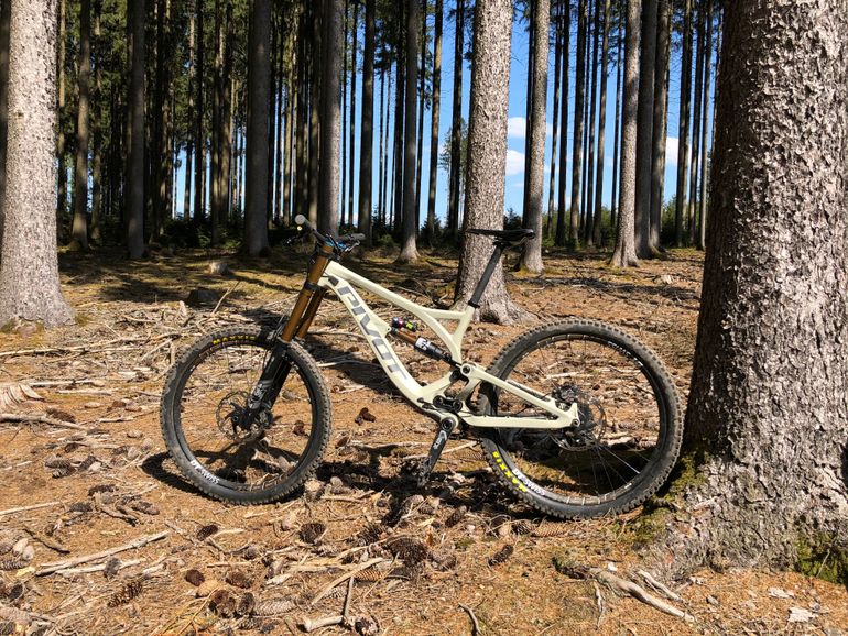Used Pivot Pivot Phönix Carbon 2018 Mountainbike, Light Gray — image 3 of 5