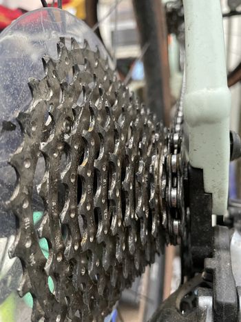 Used Canyon Grizl AL 2021 Road & Gravel, Green — image 2 of 4