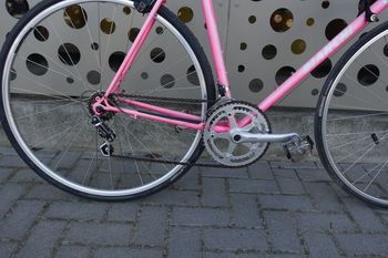 Used Bianchi caurus 1993 Road & Gravel, Rot — image 13 of 14