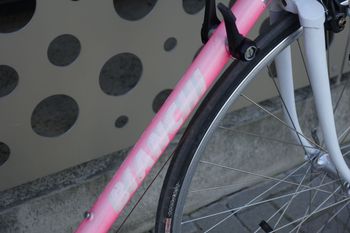 Used Bianchi caurus 1993 Road & Gravel, Rot — image 11 of 14
