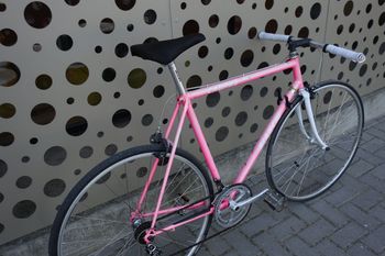 Used Bianchi caurus 1993 Road & Gravel, Rot — image 9 of 14