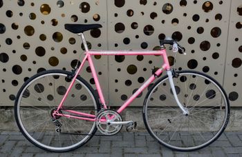 Used Bianchi caurus 1993 Road & Gravel, Rot — image 1 of 14
