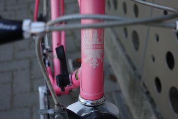 Used Bianchi caurus 1993 Road & Gravel, Rot — image 10 of 14