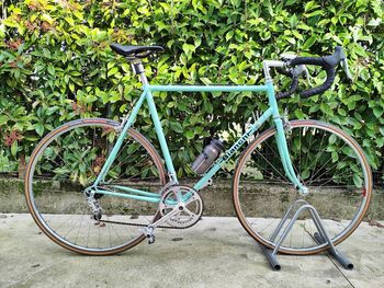 Used Bianchi Rekord 748 1975 Road & Gravel, Hellgrau — image 4 of 13