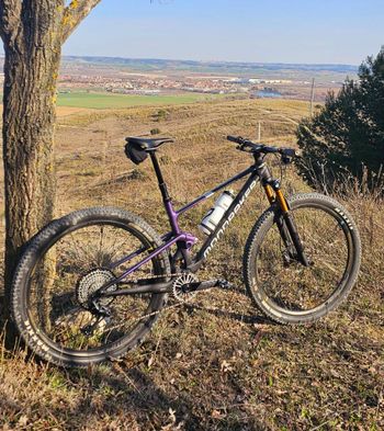 Used Mondraker F-PODIUM RR 2024 2024 MTB
