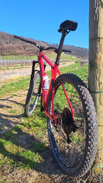 Used Trek Procaliber Sensah SRX 2021 Mountainbike, Red — image 6 of 18
