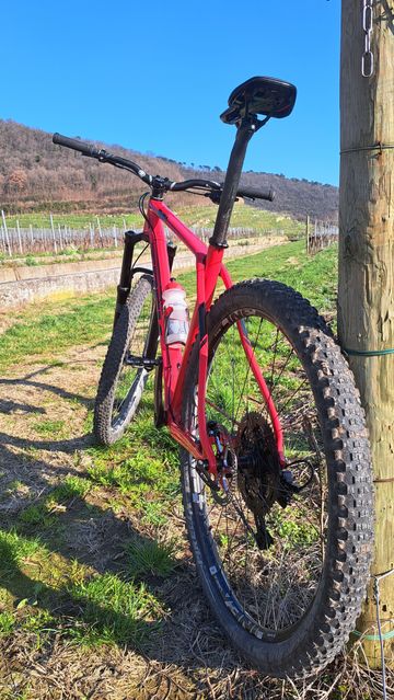 Used Trek Procaliber Sensah SRX 2021 Mountainbike, Red — image 6 of 18