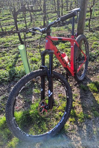 Used Trek Procaliber Sensah SRX 2021 Mountainbike, Red — image 2 of 18