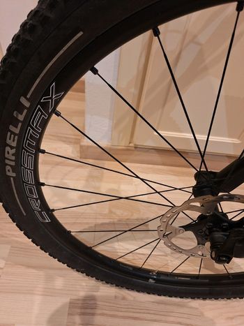Used Canyon Lux Trail CF 6 2024 2024 Mountainbike, Light Gray, 29 — image 4 of 6