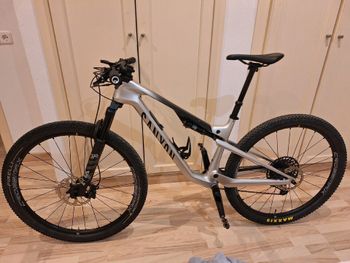 Used Canyon Lux Trail CF 6 2024 2024 Mountainbike, Light Gray, 29 — image 1 of 6