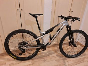 Used Canyon Lux Trail CF 6 2024 2024 Mountainbike, Light Gray, 29 — image 6 of 6