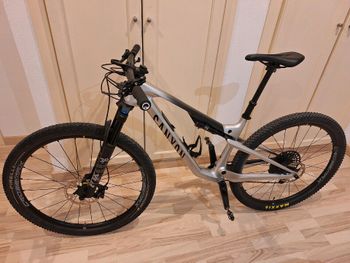 Used Canyon Lux Trail CF 6 2024 2024 Mountainbike, Light Gray, 29 — image 2 of 6