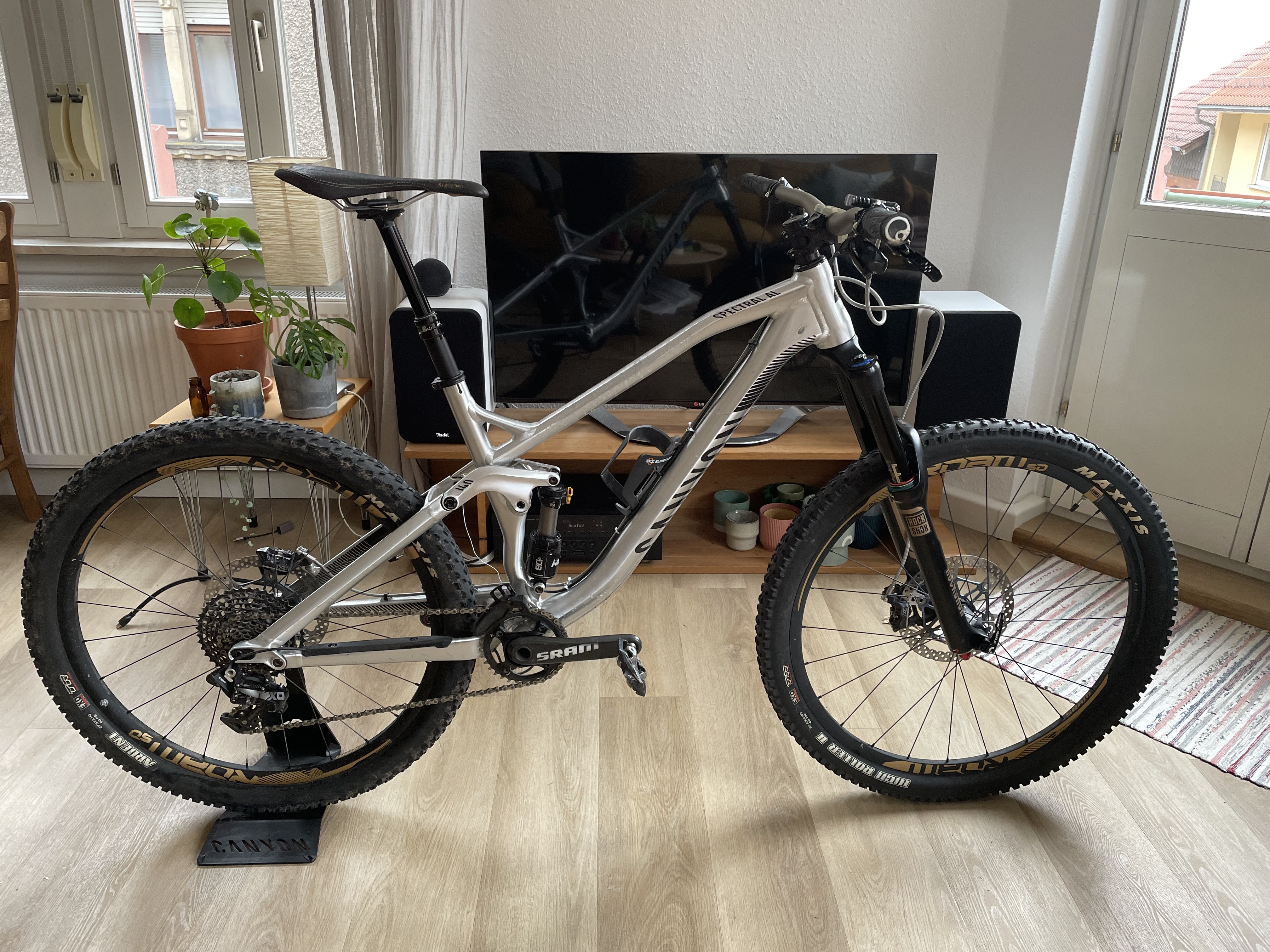 Canyon spectral 2025 al 8.0 ex