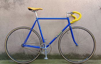 Viner, Pista